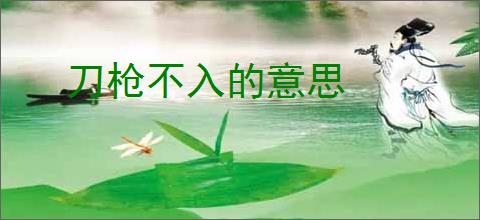 刀枪不入的意思