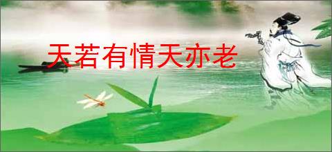 天若有情天亦老