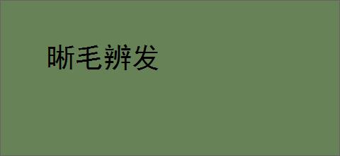 晰毛辨发